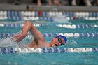 Swim vs Bentley  Wheaton College Swimming & Diving vs Bentley University. - Photo by Keith Nordstrom : Wheaton, Swimming & Diving